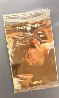 圭