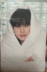 棉被圭