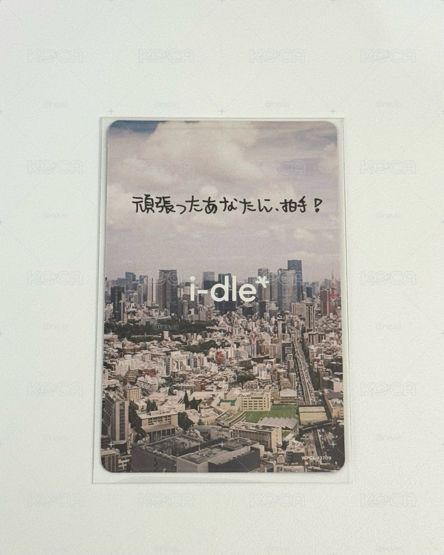 日專 JC專卡 琦
