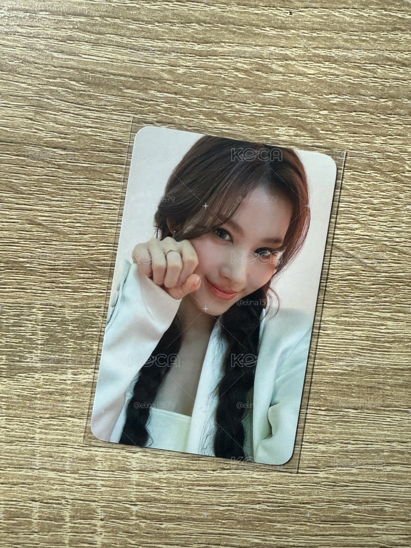 喵喵莎🐱