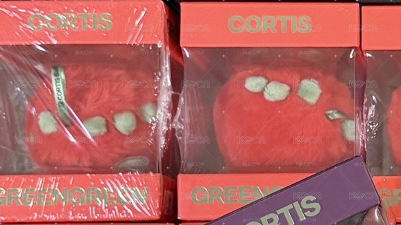 Cortis REDRED現貨