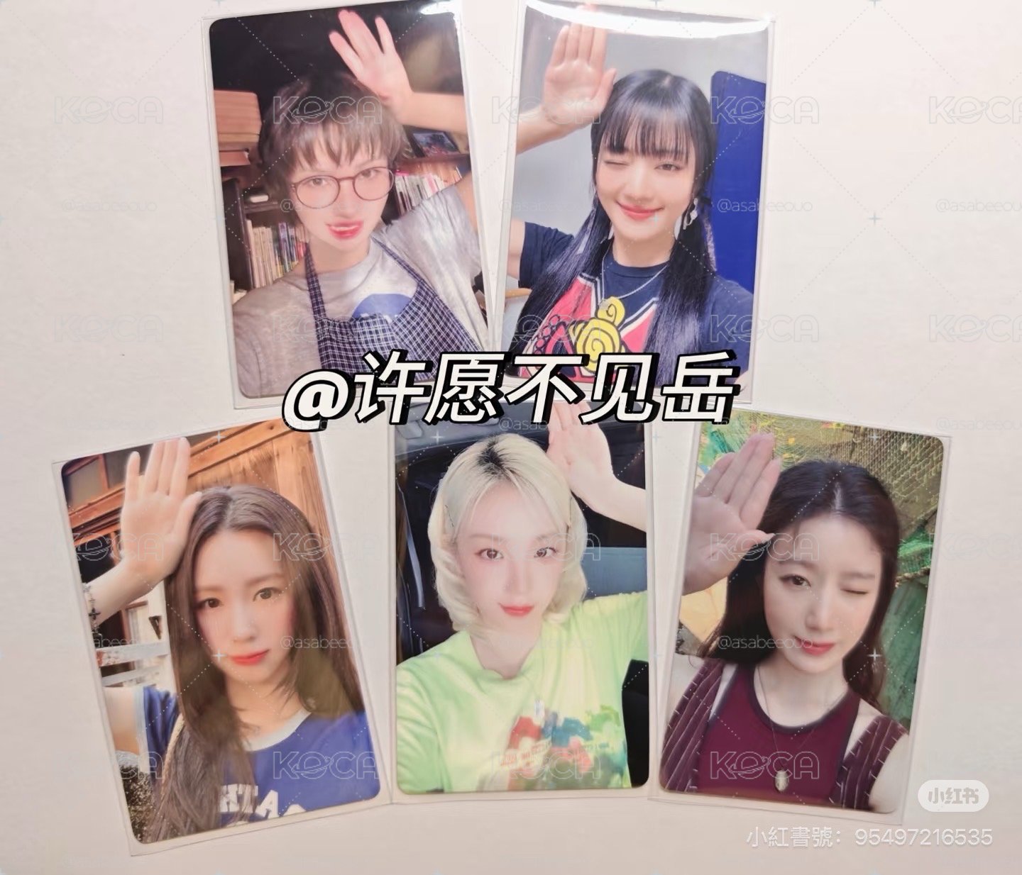D賞一套