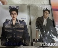 sofigaro侯明昊特别十周年封面 雜誌 ofigaro侯明昊特别十周年封面