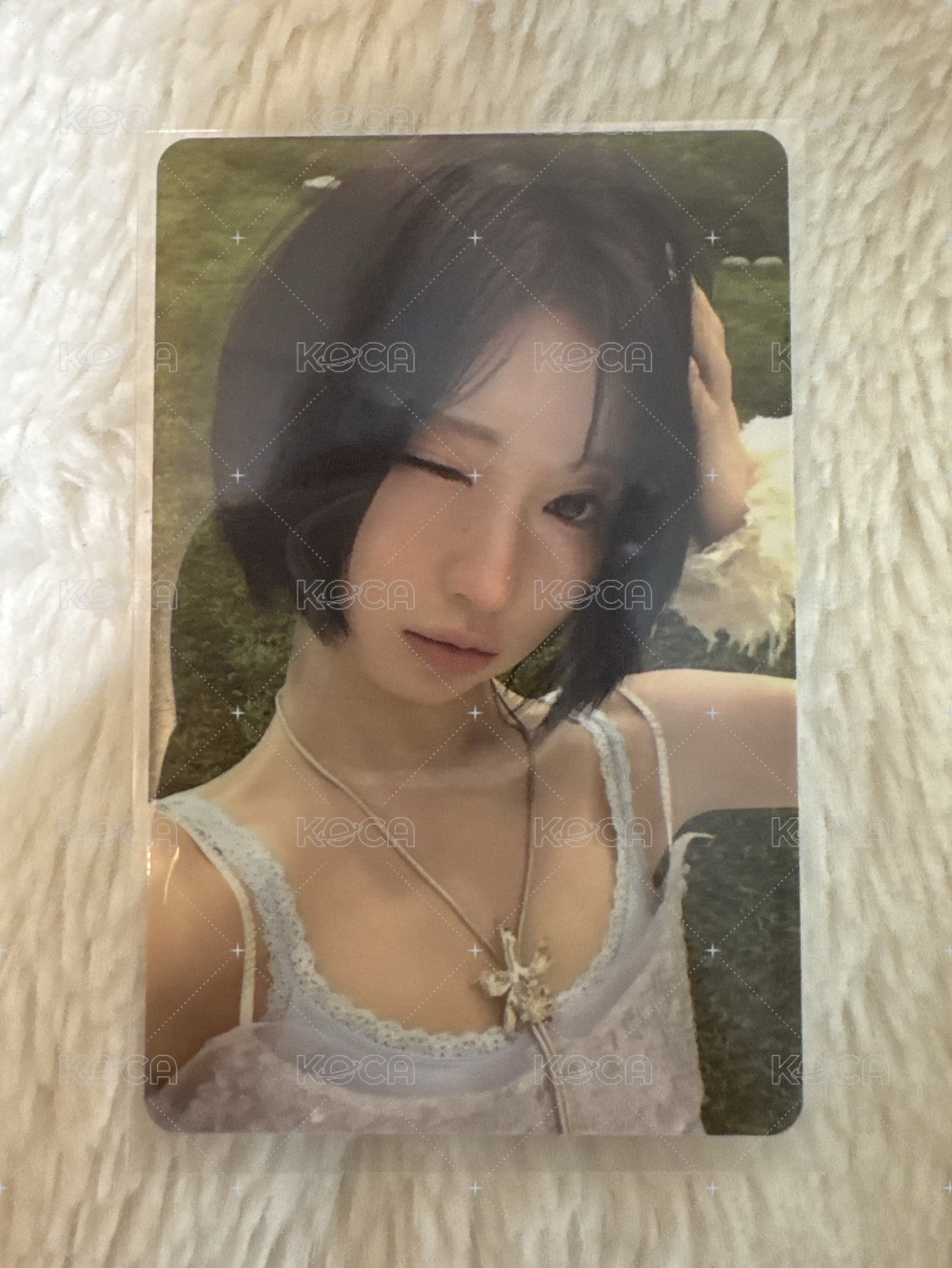 角（多帶茶/柒）