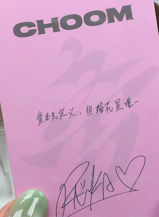 춤 (CHOOM) kms 預售2.0 特典卡  背面
