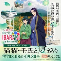 猫猫壬氏と夏巡り