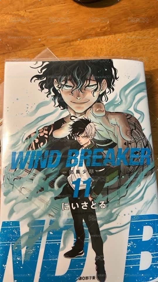 防風少年漫畫特裝版+櫻遙立牌已拆（絕版