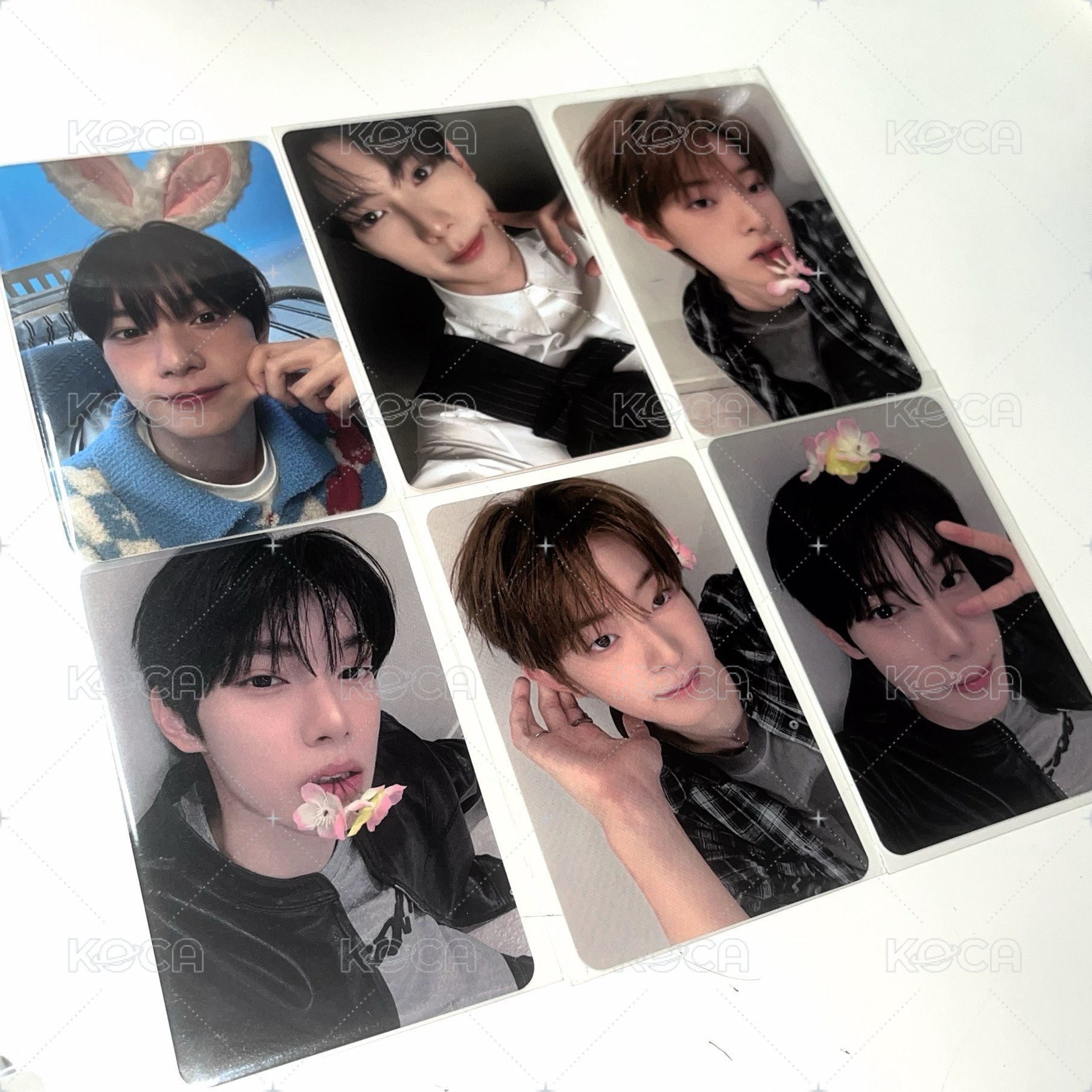 🐰🦊小盤