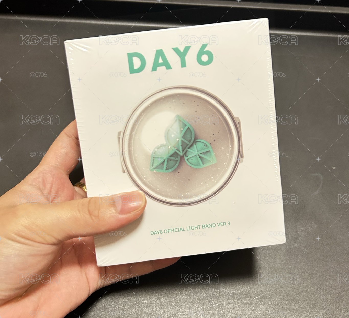 DAY6  應援手燈環