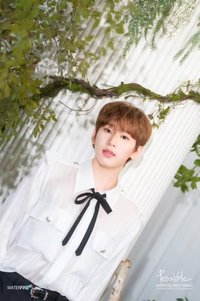 LU (HAYOON)