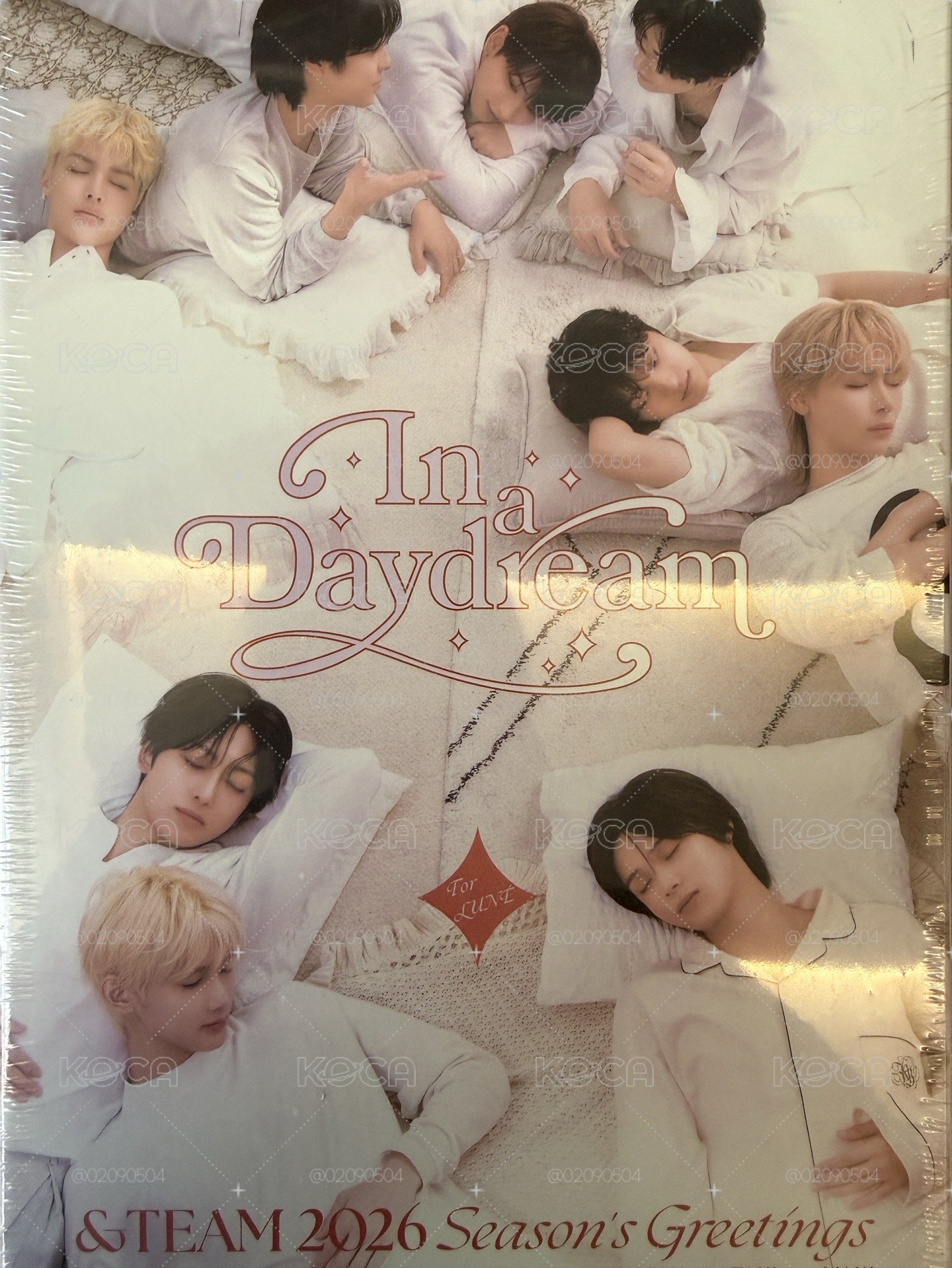 &TEAM 2026 SEASON'S GREETINGS 'In a Daydream'
