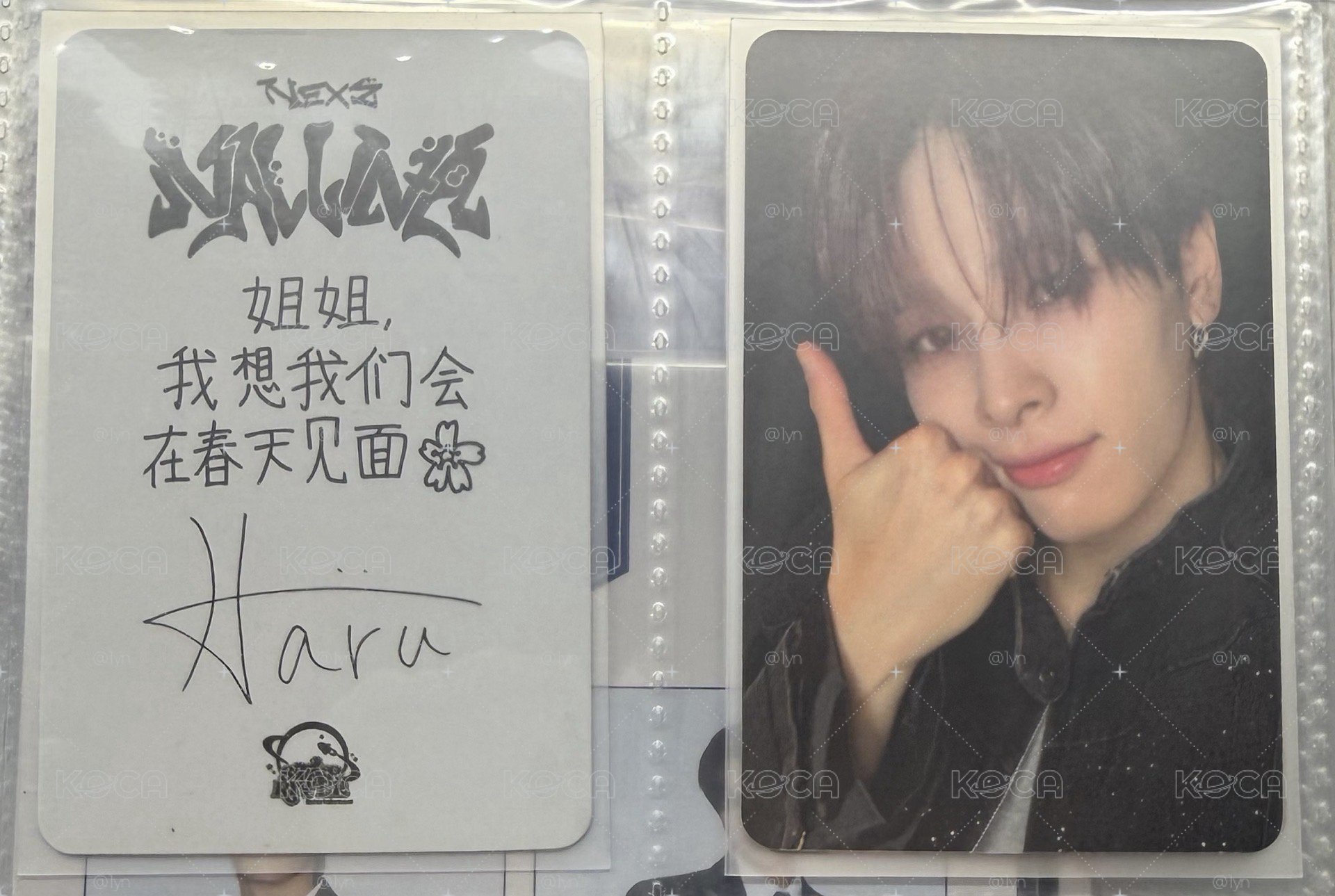 nln 中文卡背/姐姐我想我们会在春天见面🌸