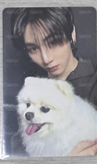 狗狗4