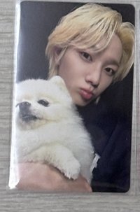 狗狗1