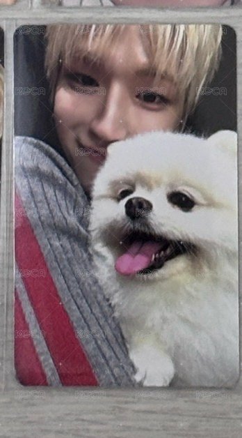 狗狗2