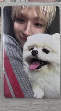 狗狗2