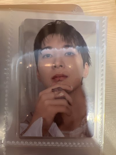 Wonwoo wvs特典