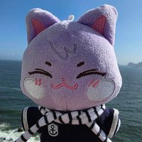 HSIN