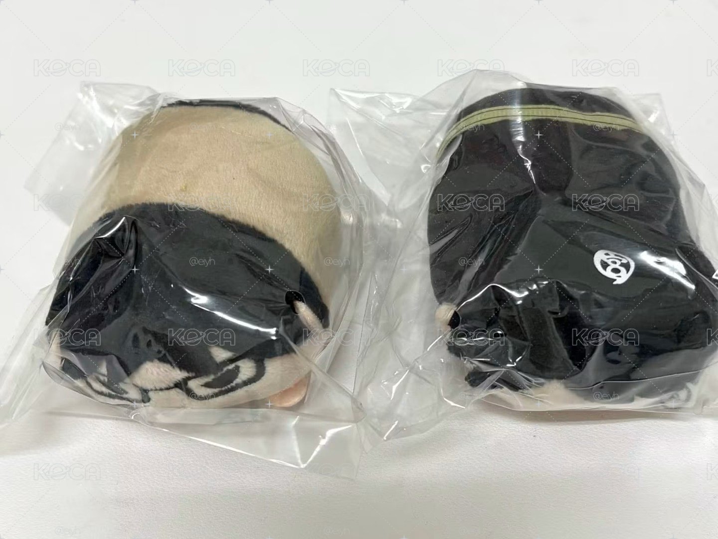 排球少年趴娃