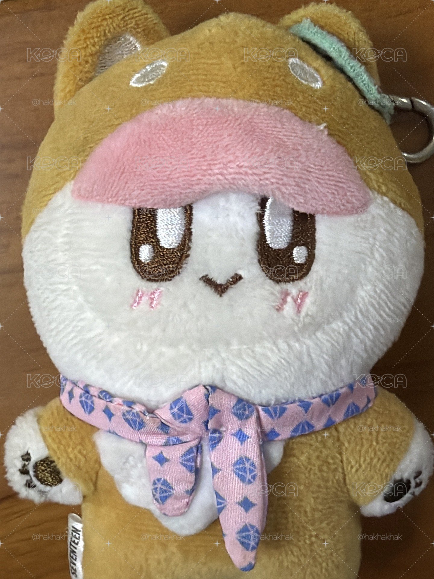 柴犬蹦蹦