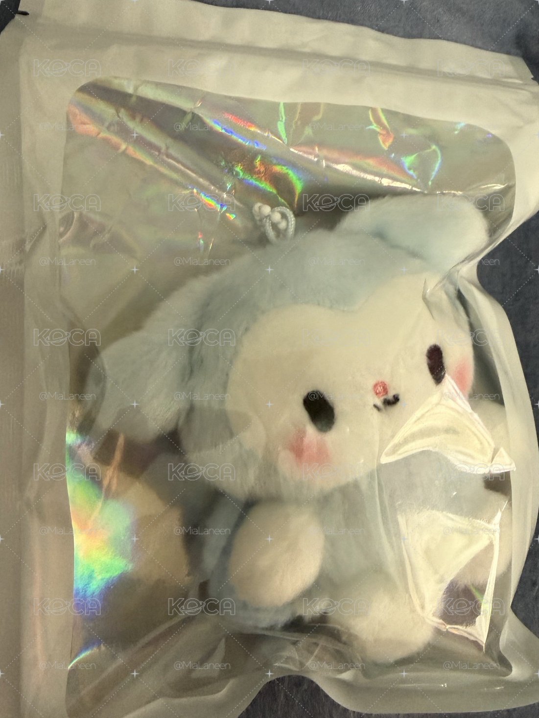 SKZ 娃類
