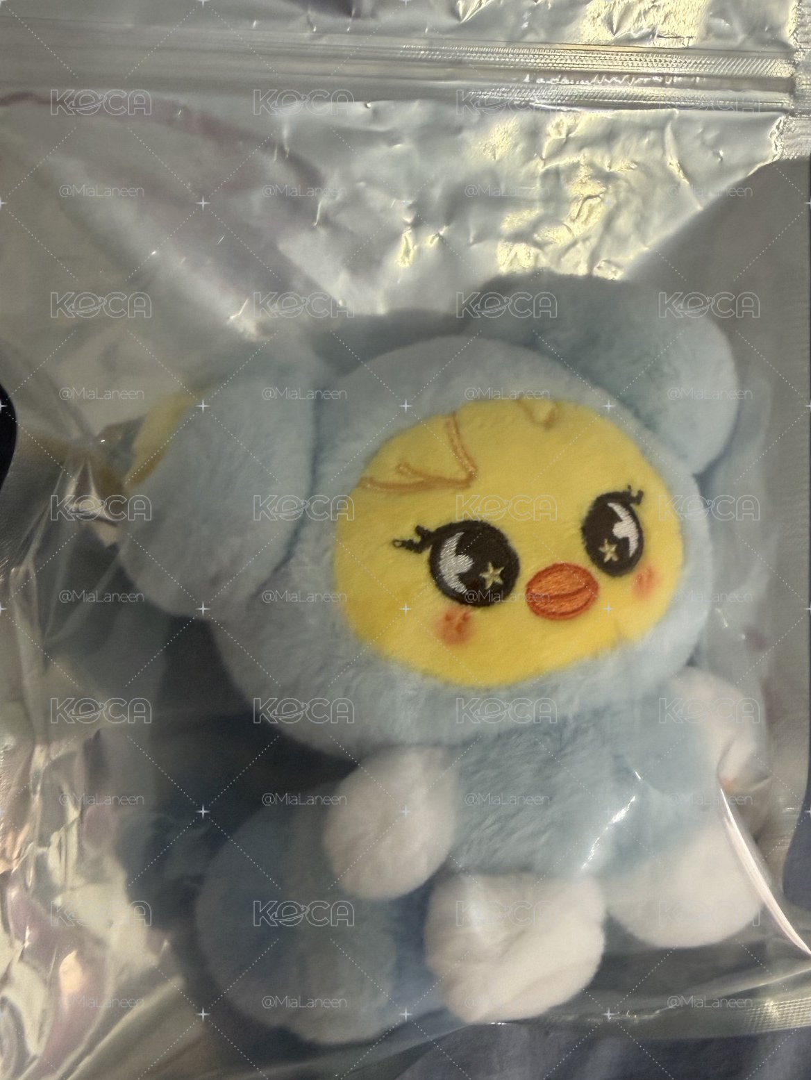 SKZ 娃類