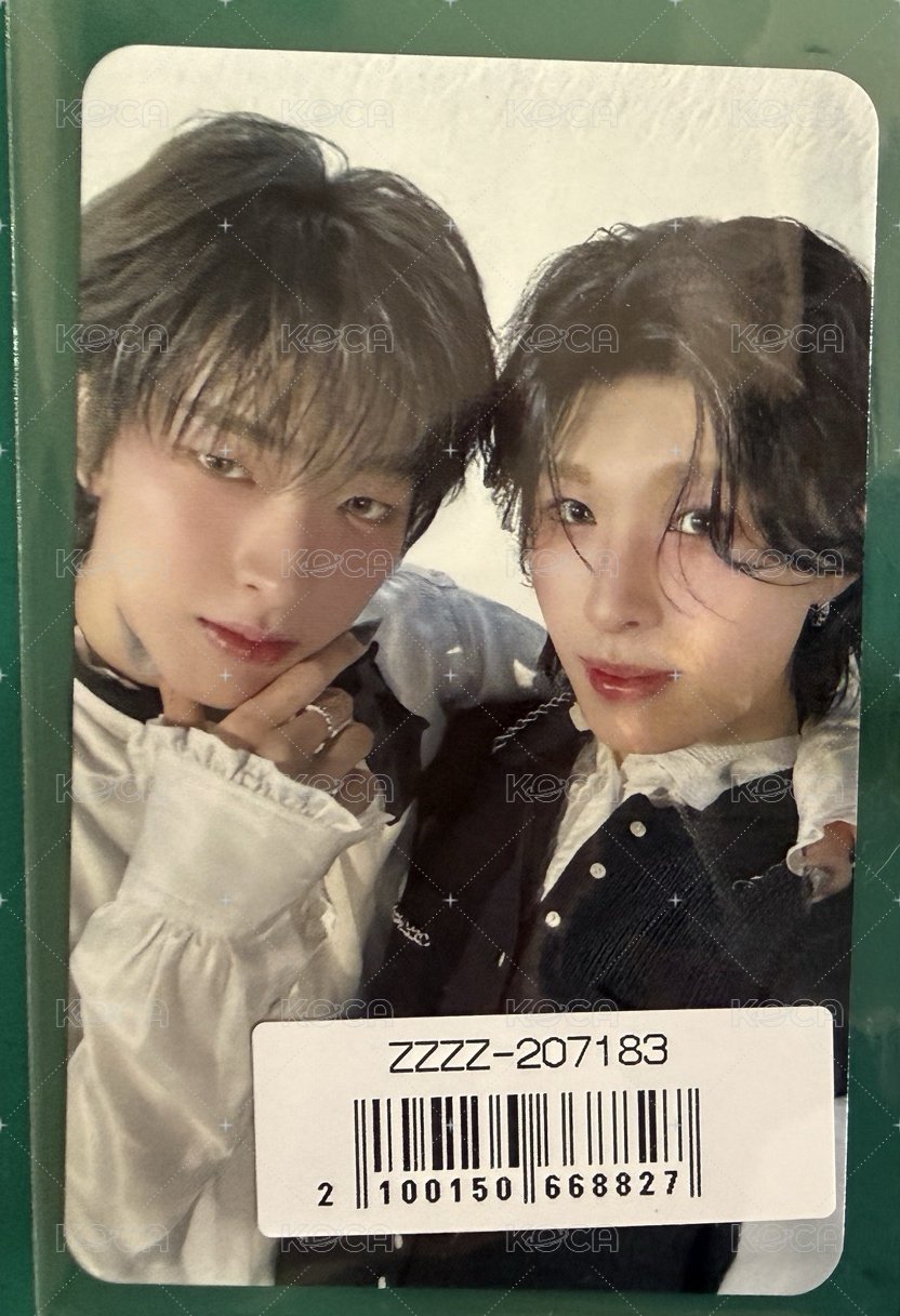 🐧🐿️