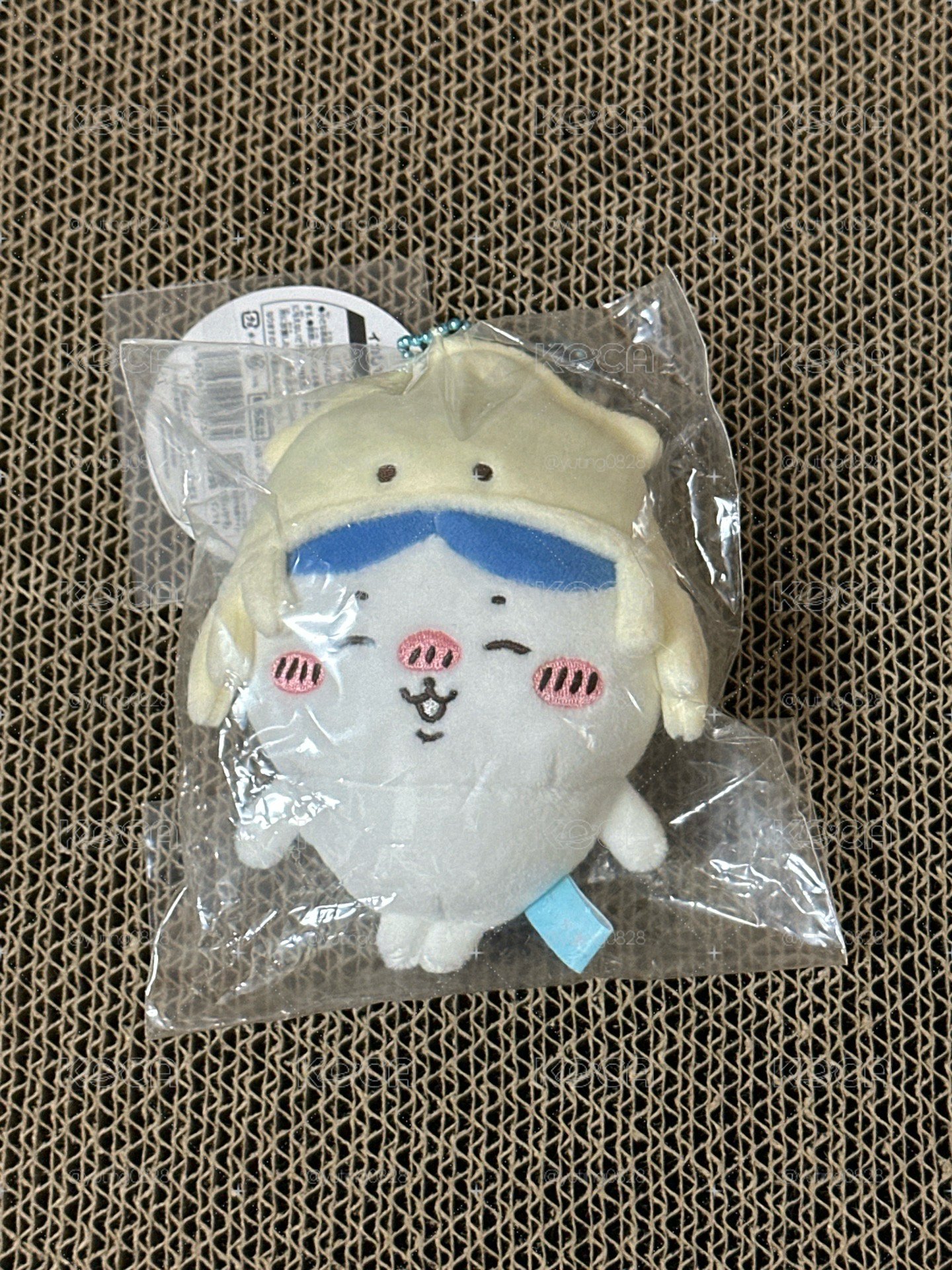 魷魚小八