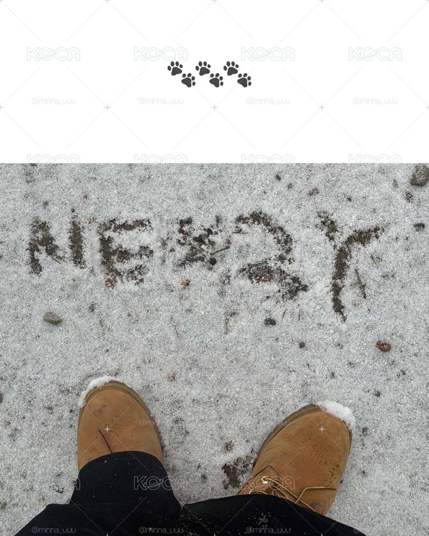 NEXZ小卡福袋