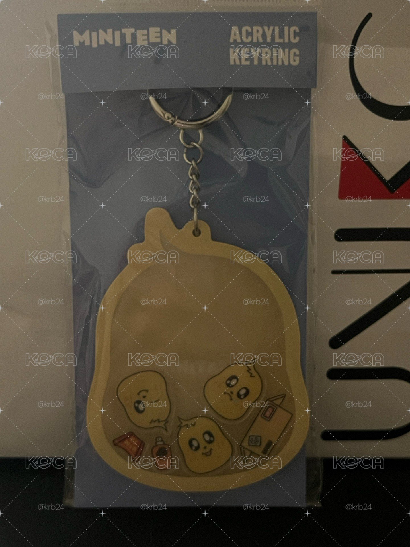 SEVENTEEN miniteen KIMJA 金珉奎周邊