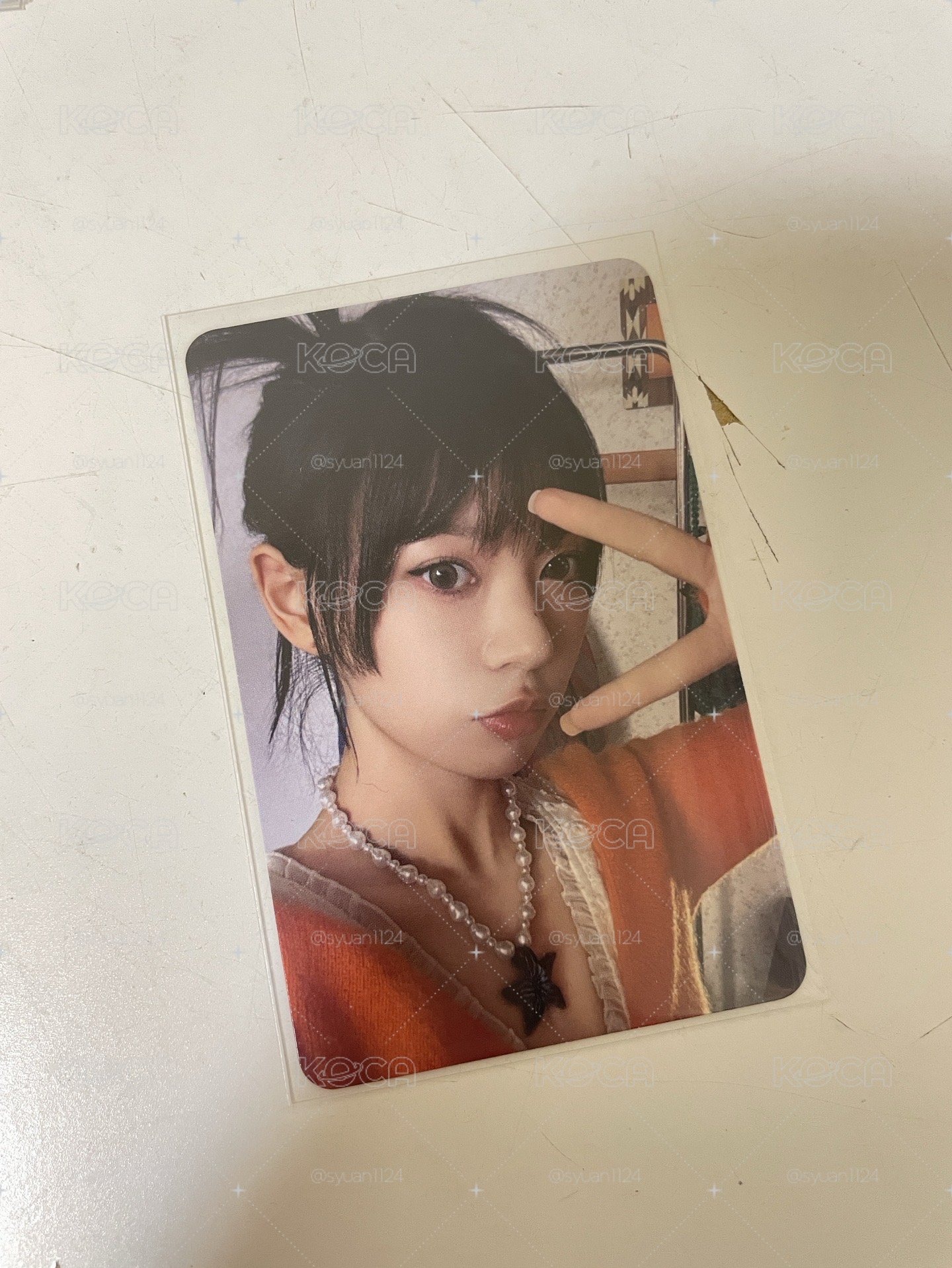 Moka中背 Moka小鼠在此