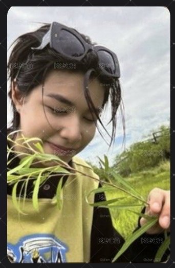 聞小草的貼紙書路路