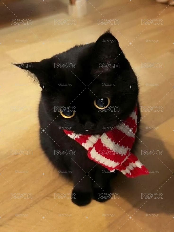 糊團福袋