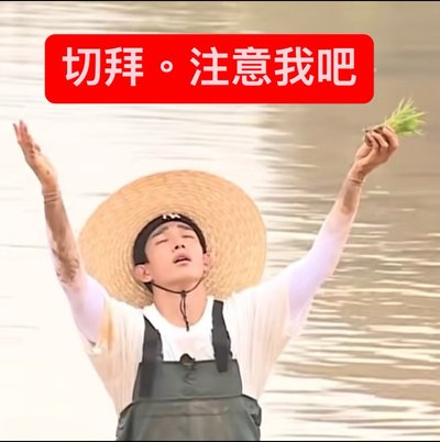 公告📣💥❗️