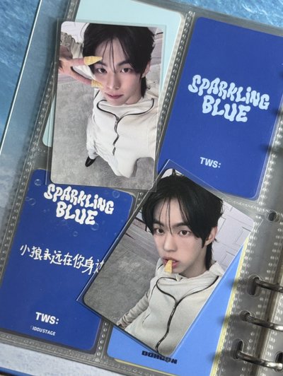 𝙏𝙒𝙎 兩隻玩餅乾的小狼˚⁎*🐺