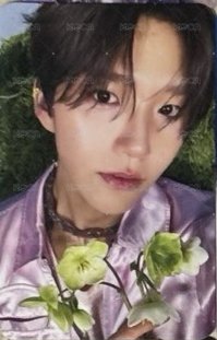 songbird專卡🌹
