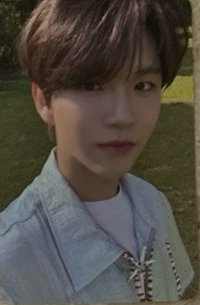 songbird專卡草地