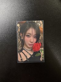 춤 (CHOOM) k4 團封 幸運卡 玫瑰版