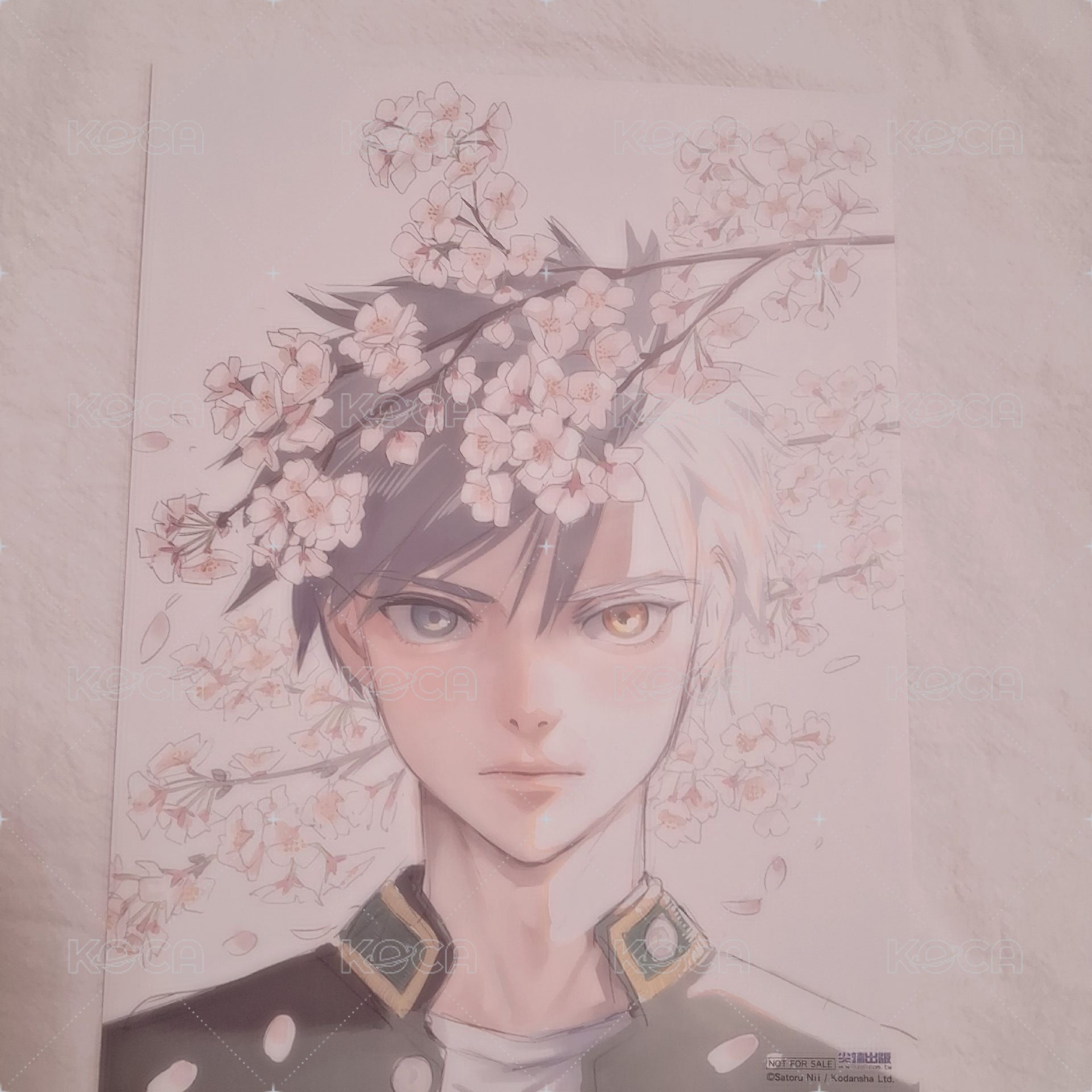畫板