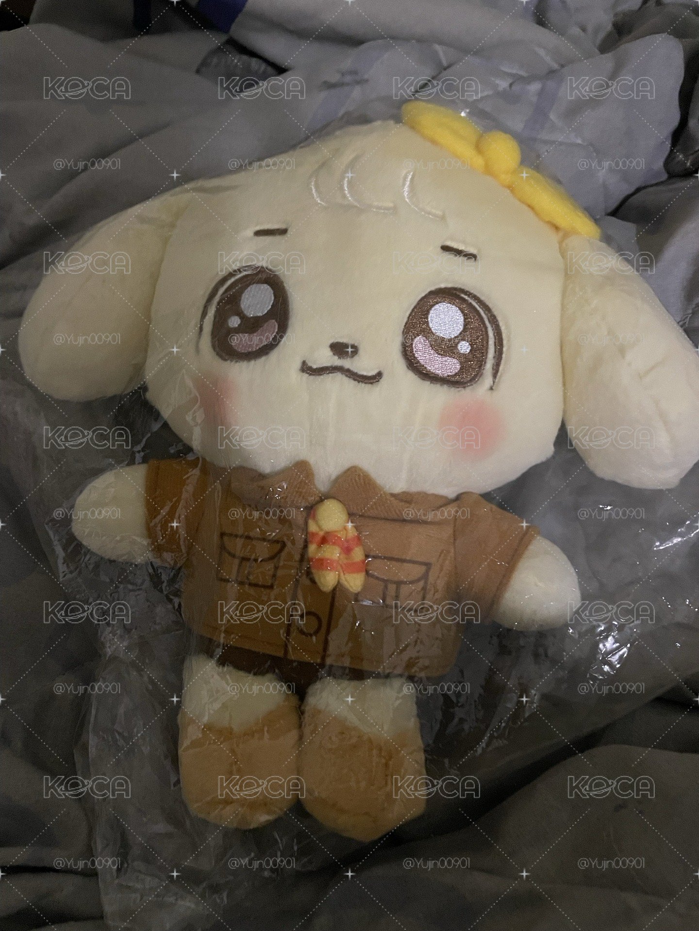 愛麗寶安娃