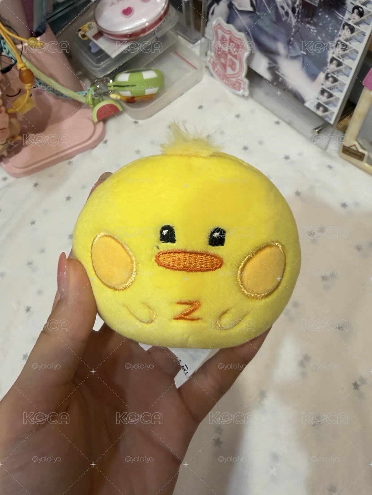 泰來糰子