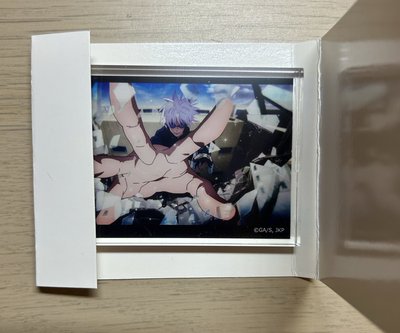 大創壓克力磚盲抽 五夏雙人/五條款