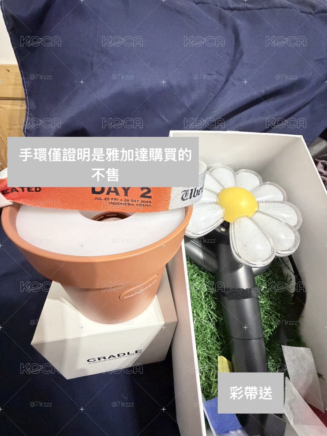 大手燈+大盆栽