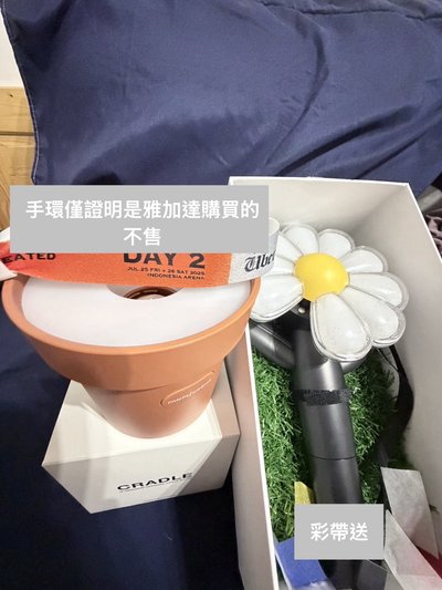 大手燈+大盆栽