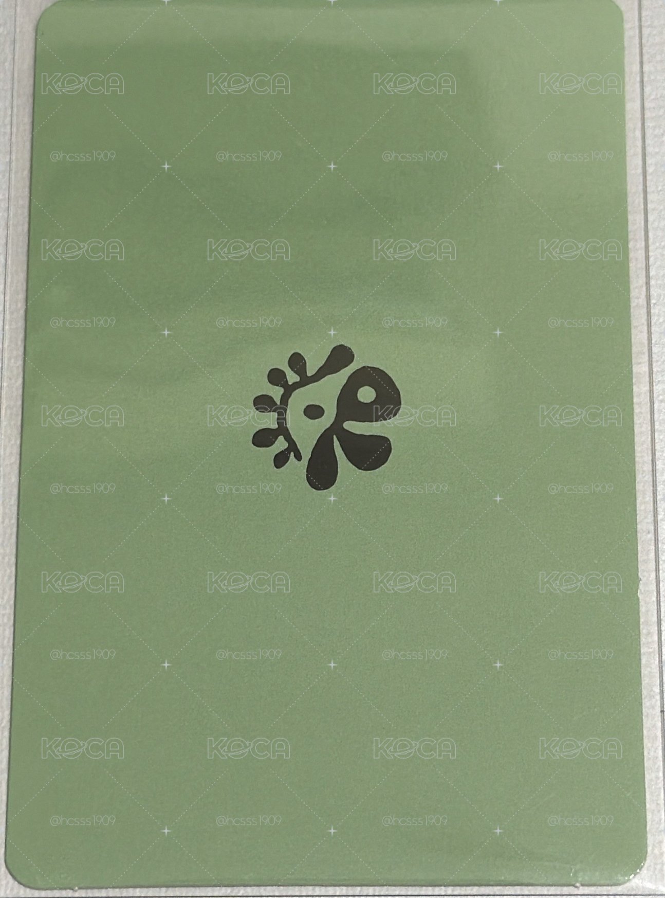 Cortis 金主訓