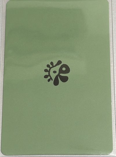 Cortis 金主訓