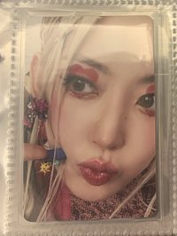 crazy 櫻花