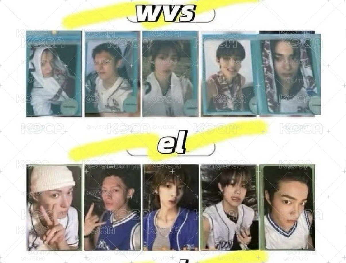 wvs el 馬