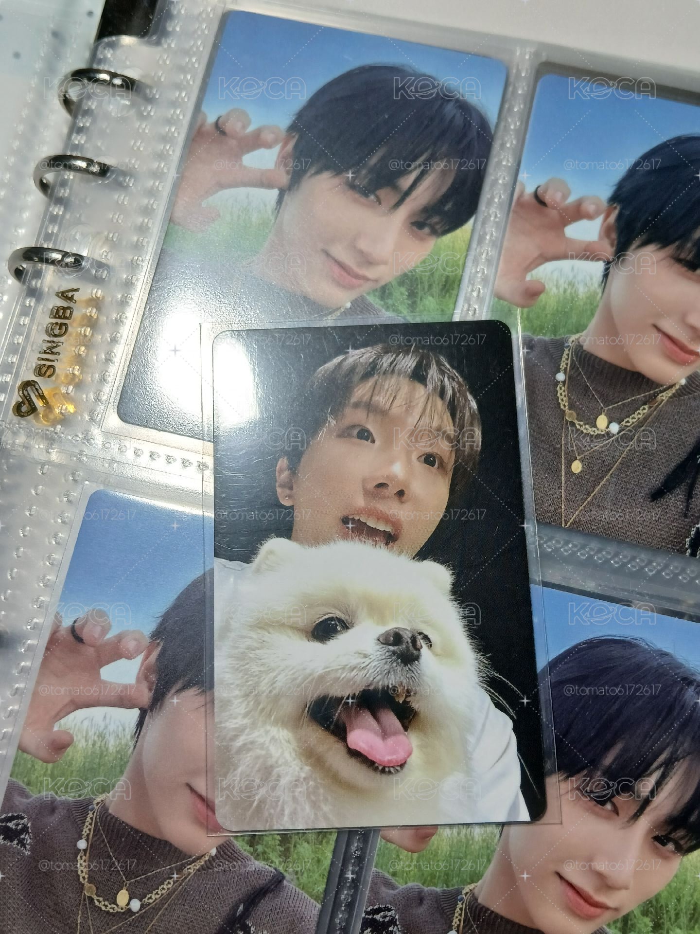 狗狗特典吳娜
