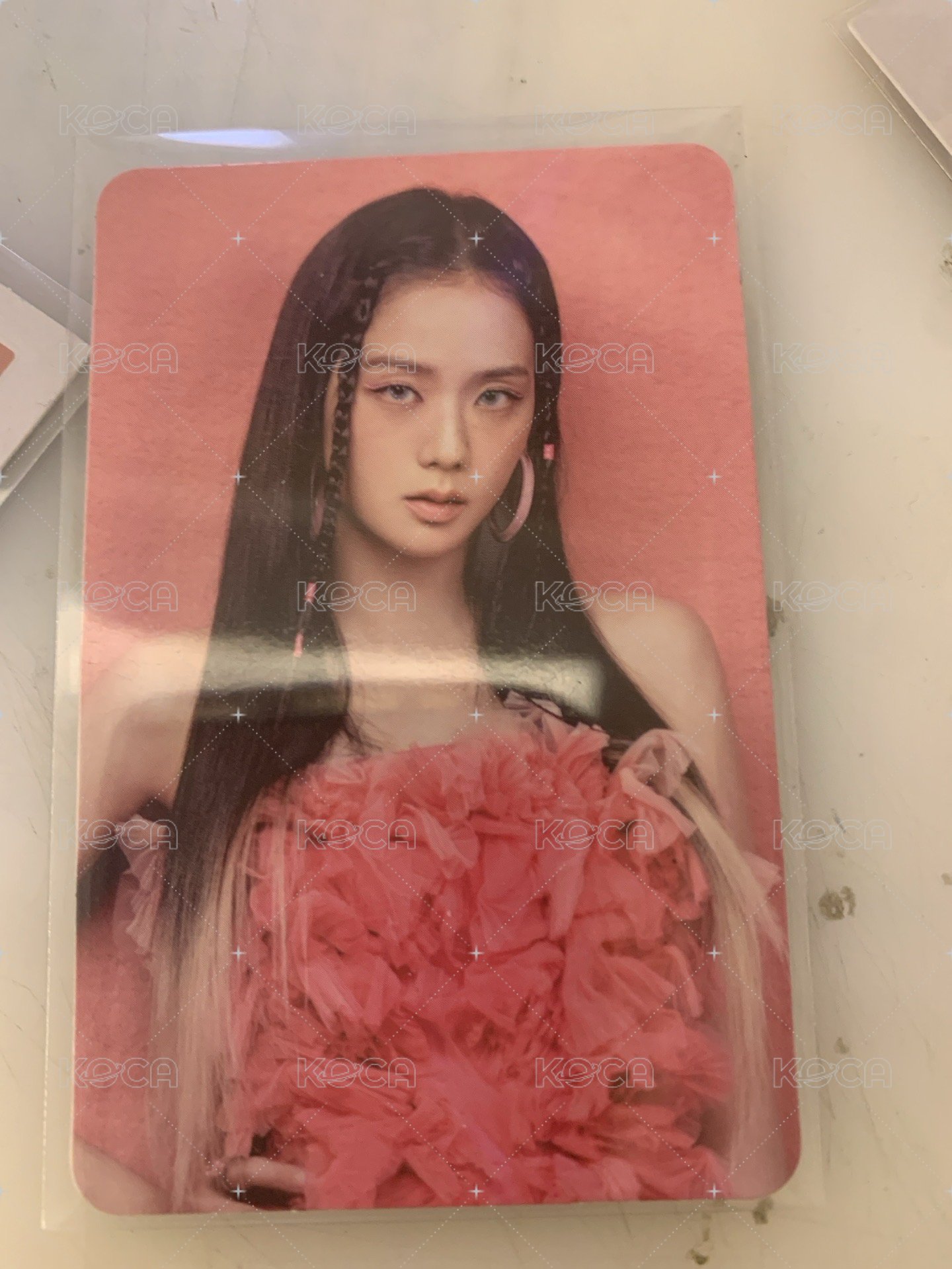 智秀特典